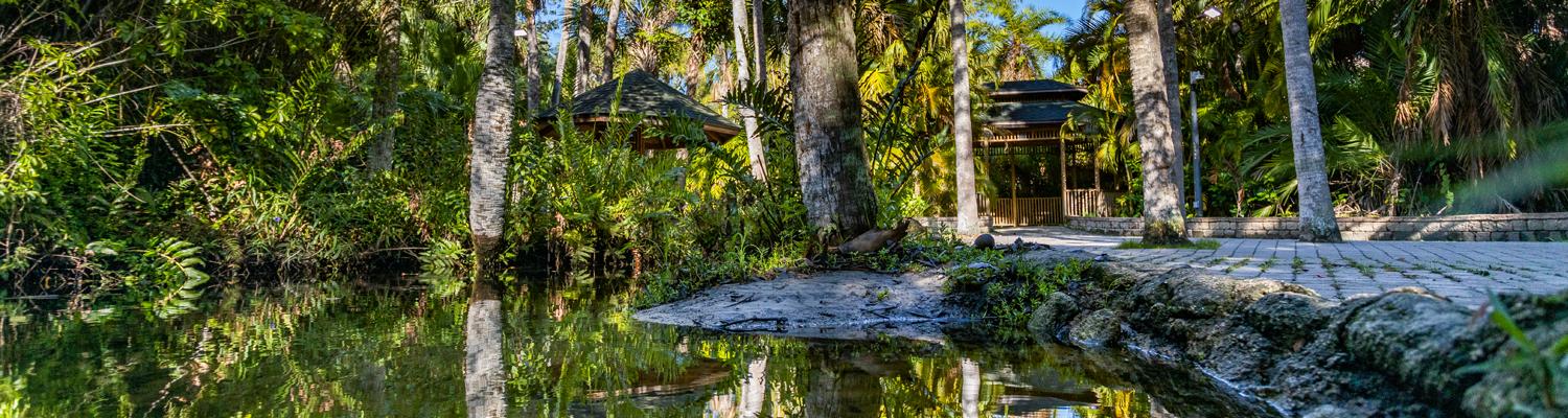 Lake at Botanical Gardens